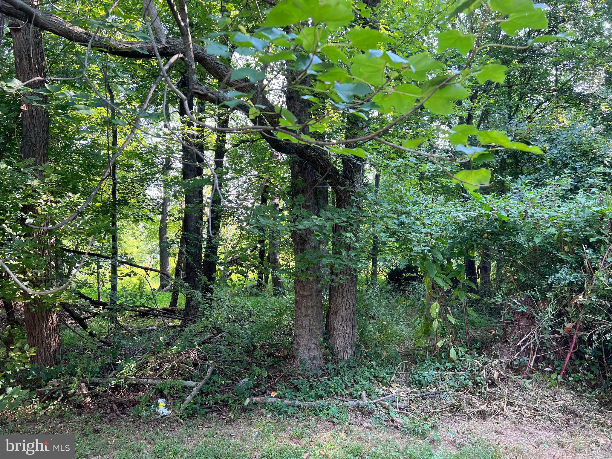 OAKMONT MANOR - Residential