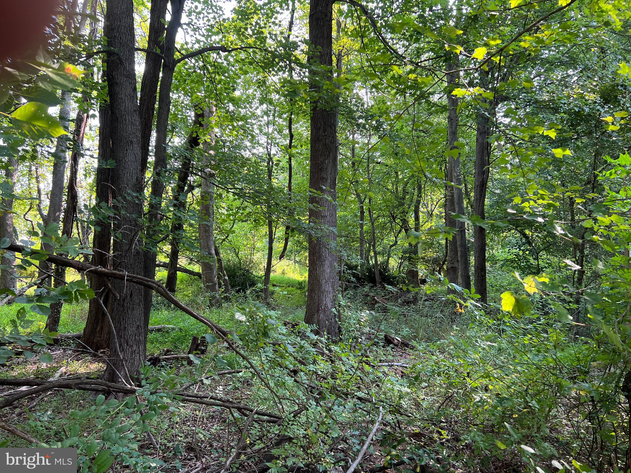 OAKMONT MANOR - Residential