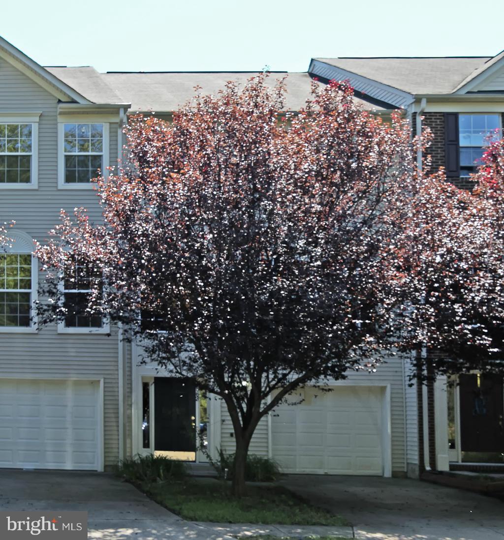LAKEVIEW OF CULPEPER - Residential