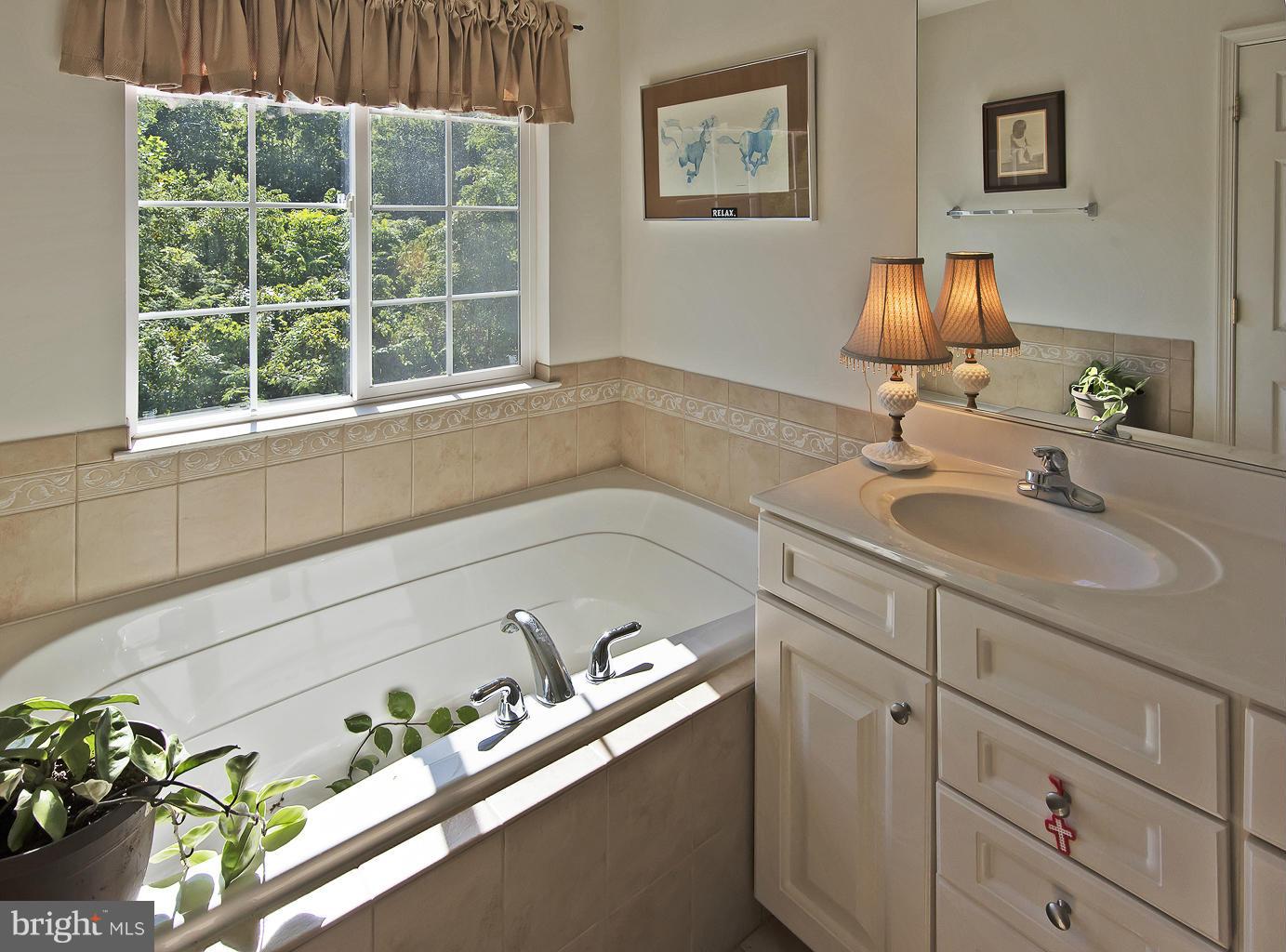 LAKEVIEW OF CULPEPER - Residential