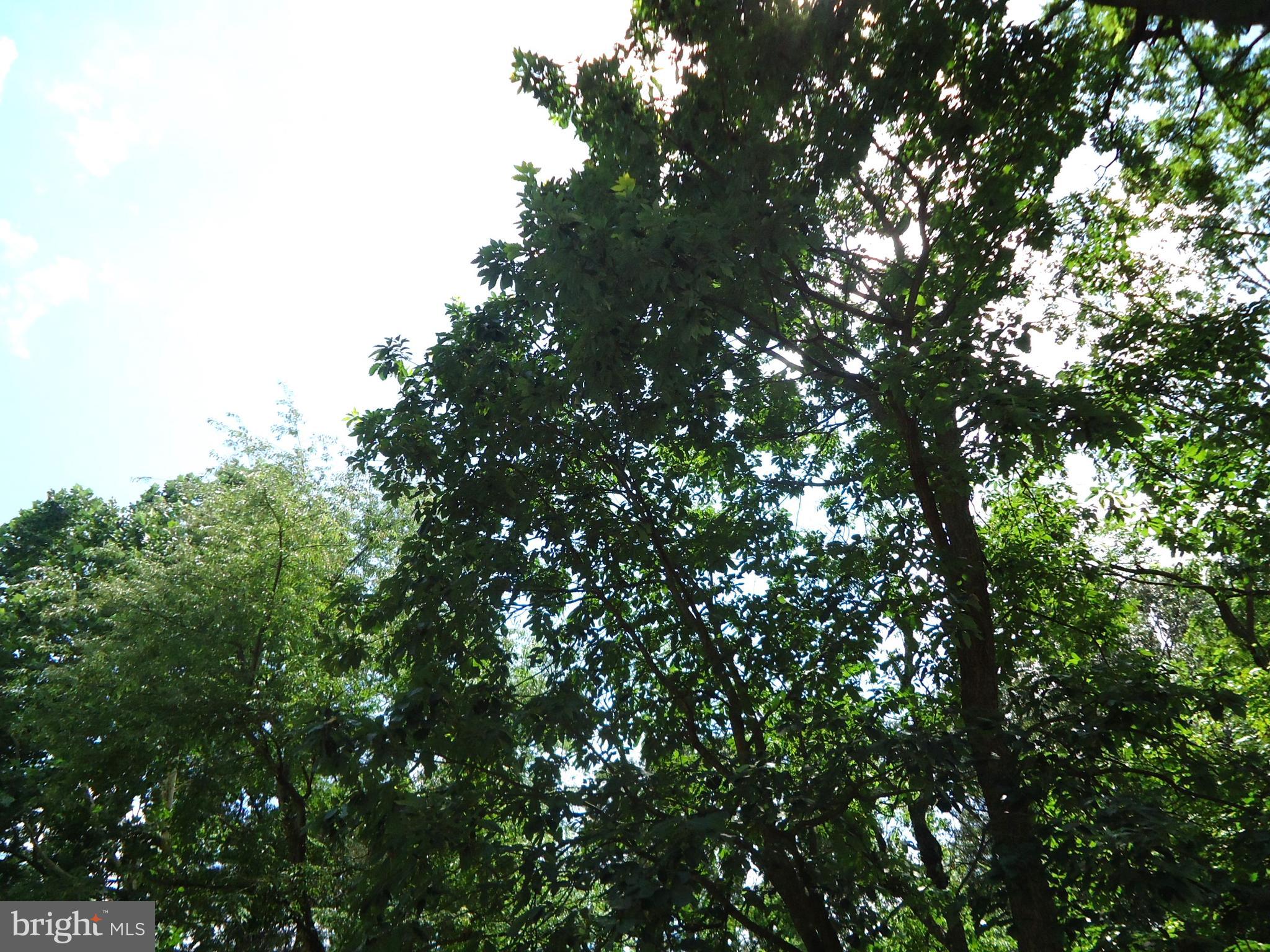 ASBURY WOODS - Residential