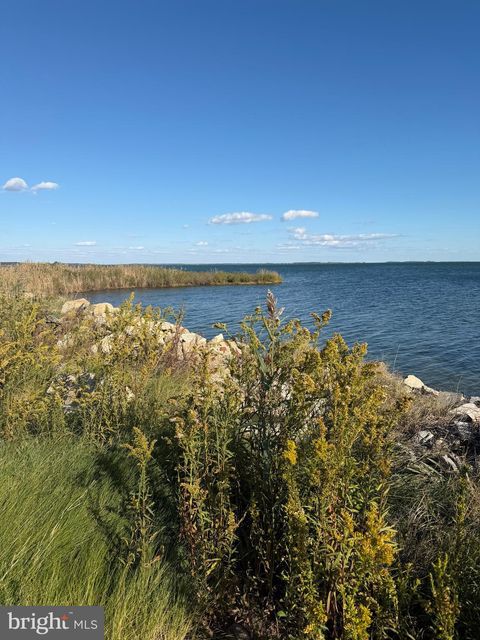 Photo of 1631 Steamboat Wharf Rd, FISHING CREEK, MD 21634 (MLS # MDDO2010736)