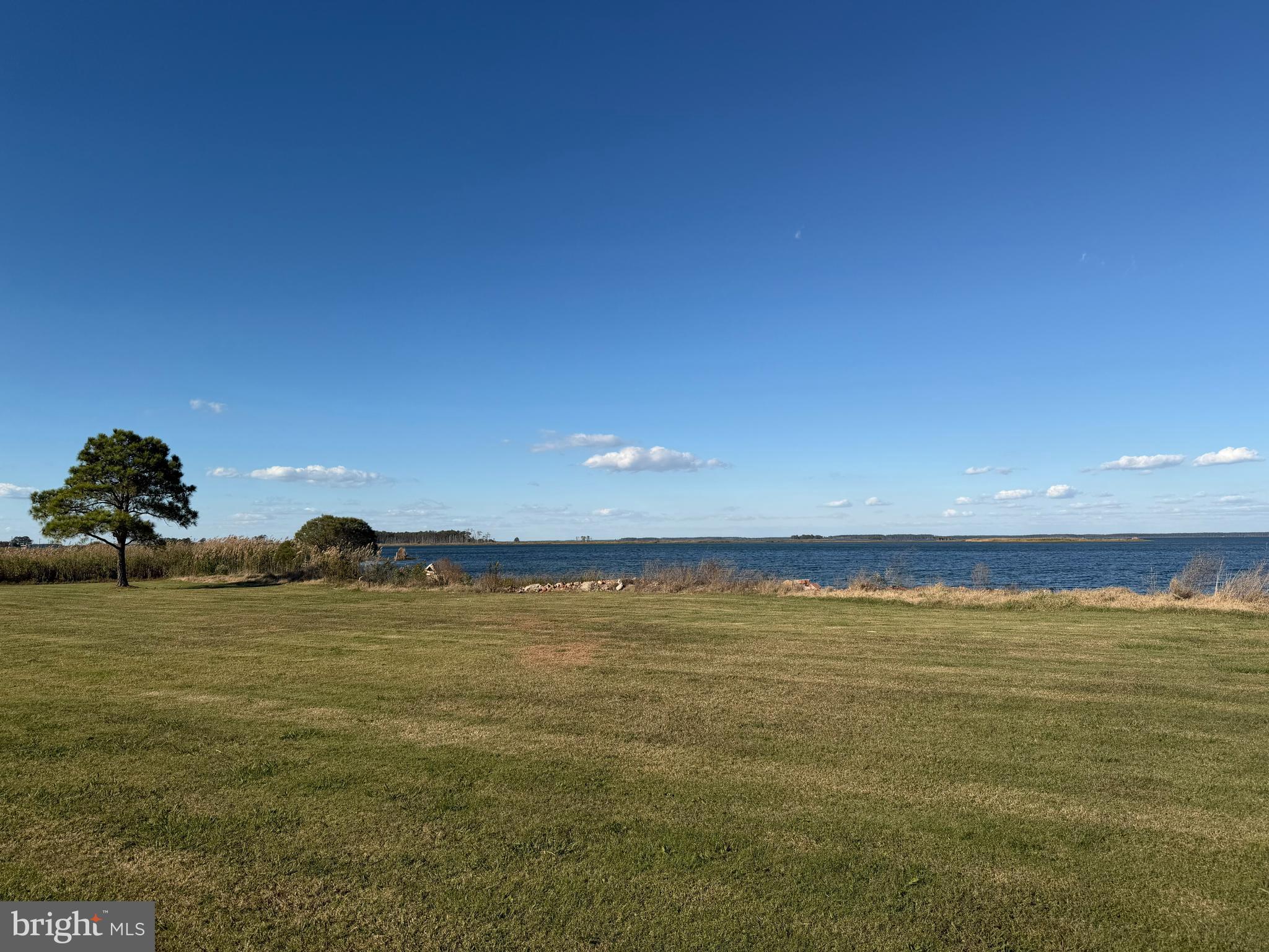 1631 STEAMBOAT WHARF