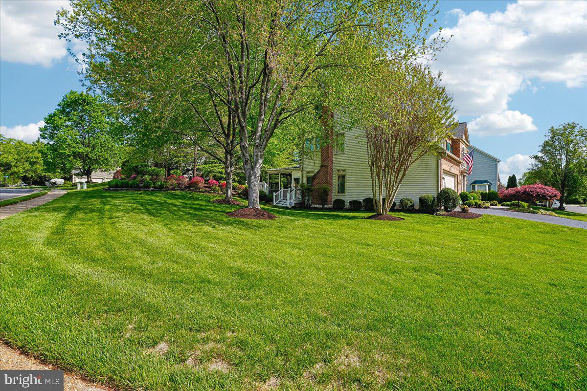 WOODS AT SOUTH RUN - Residential