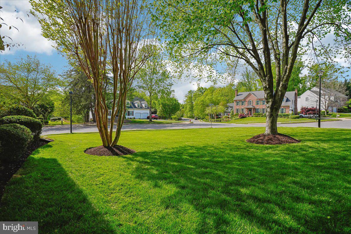 WOODS AT SOUTH RUN - Residential