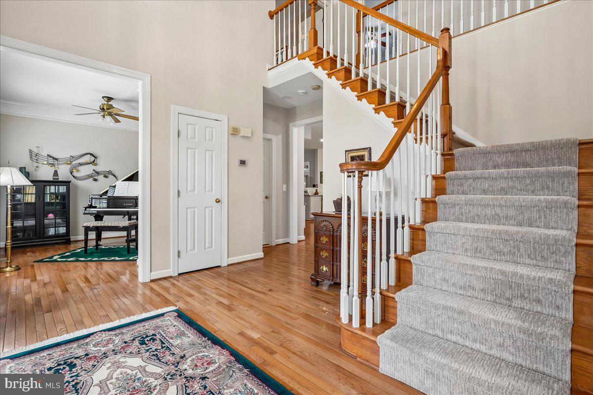 WOODS AT SOUTH RUN - Residential