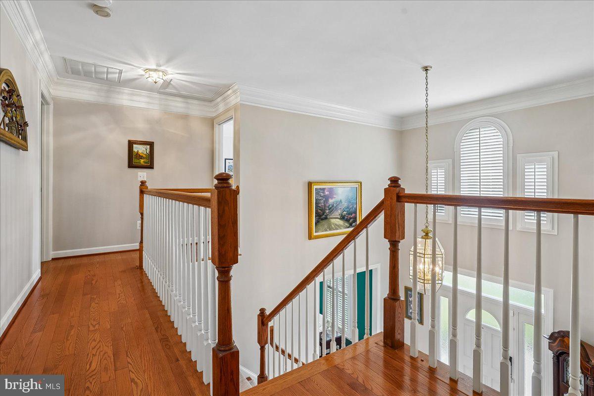 WOODS AT SOUTH RUN - Residential