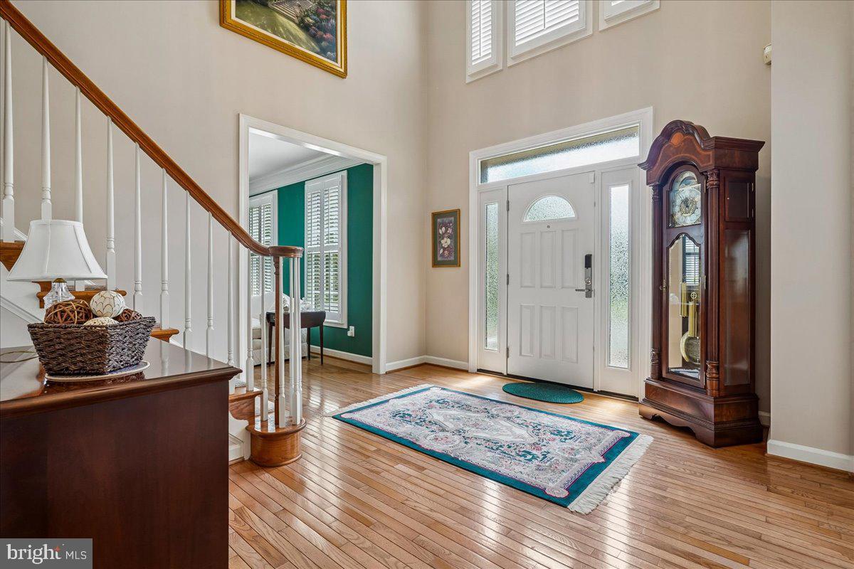 WOODS AT SOUTH RUN - Residential