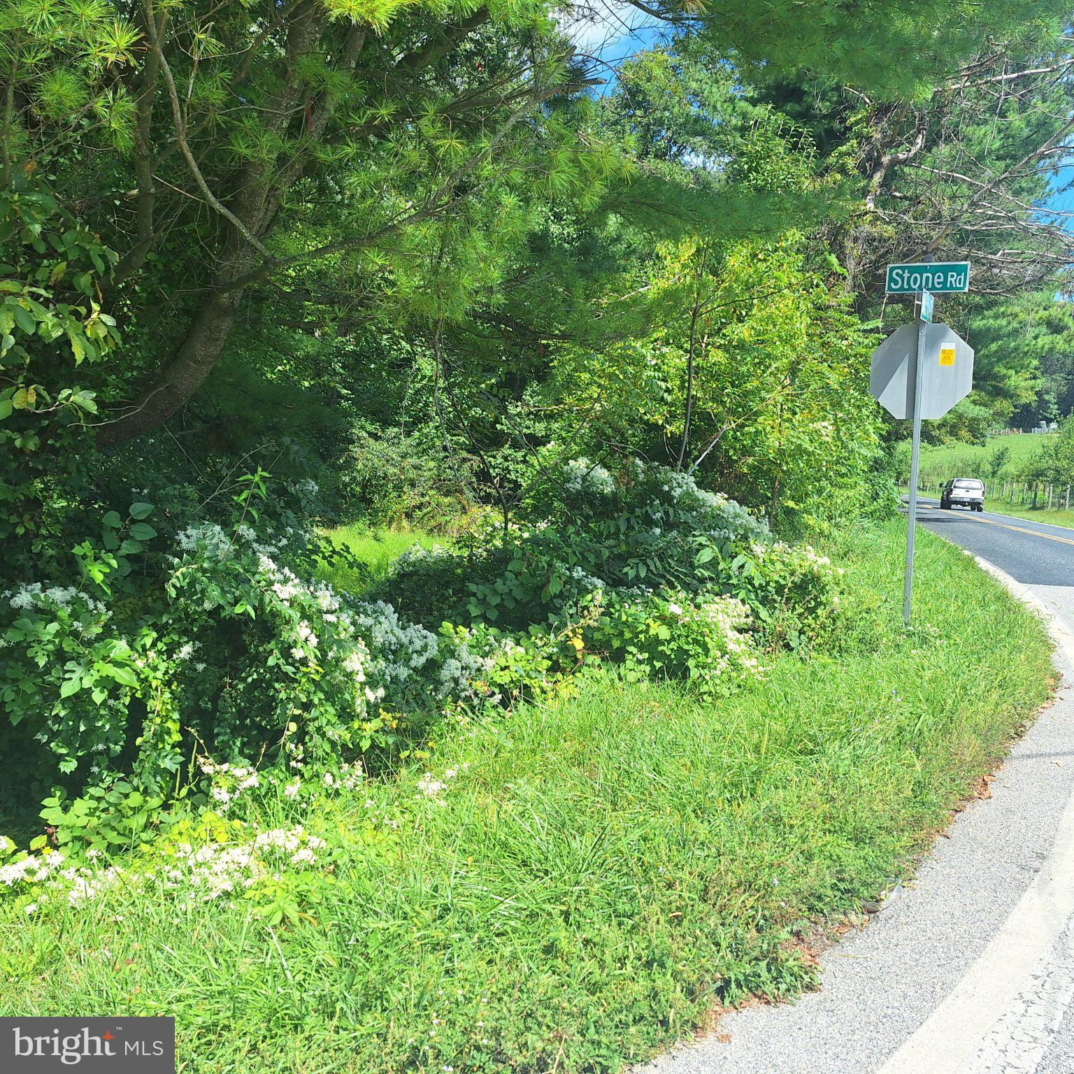 STONE RD ROAD
