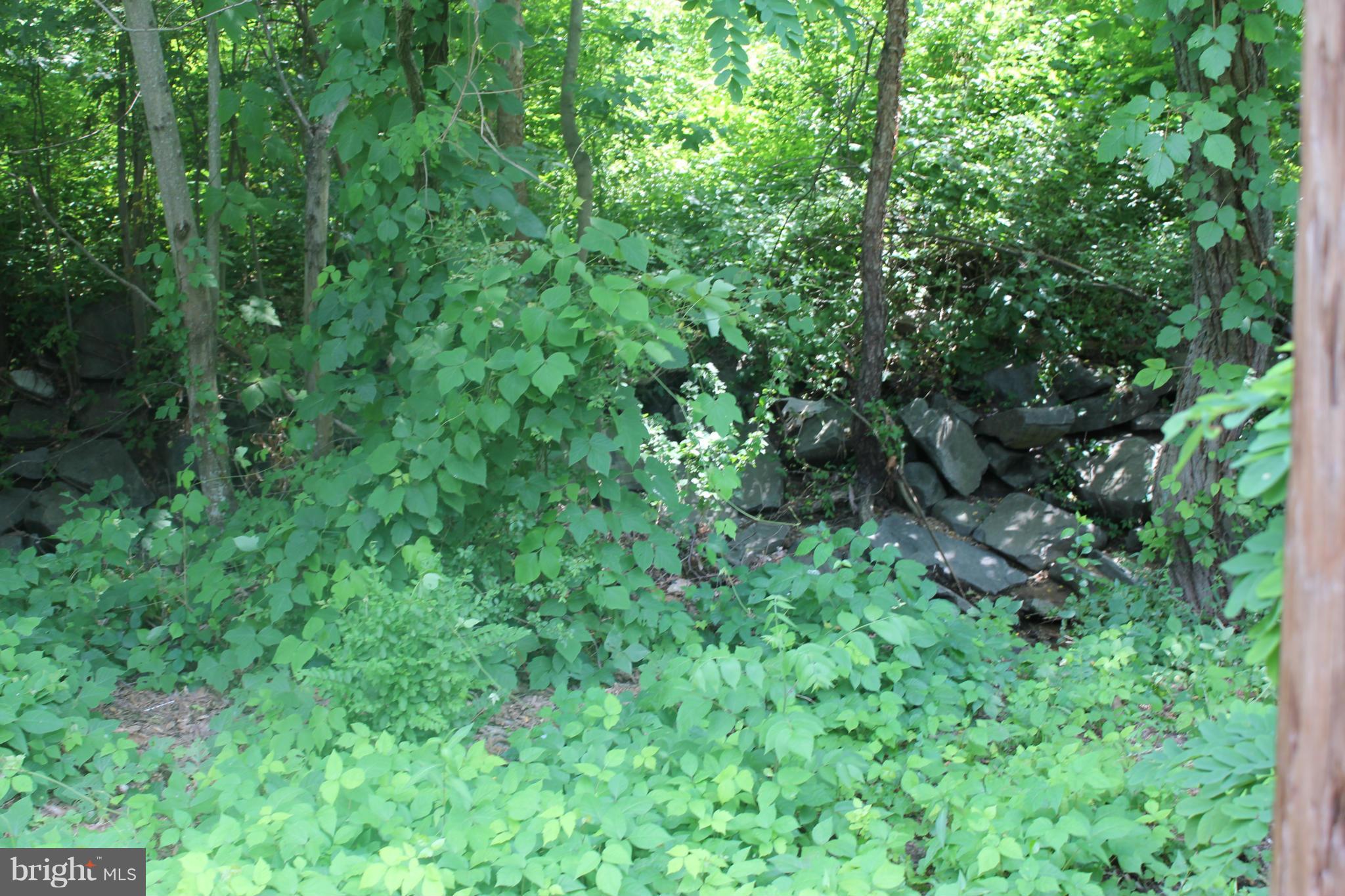 MARUMSCO HILLS - Residential