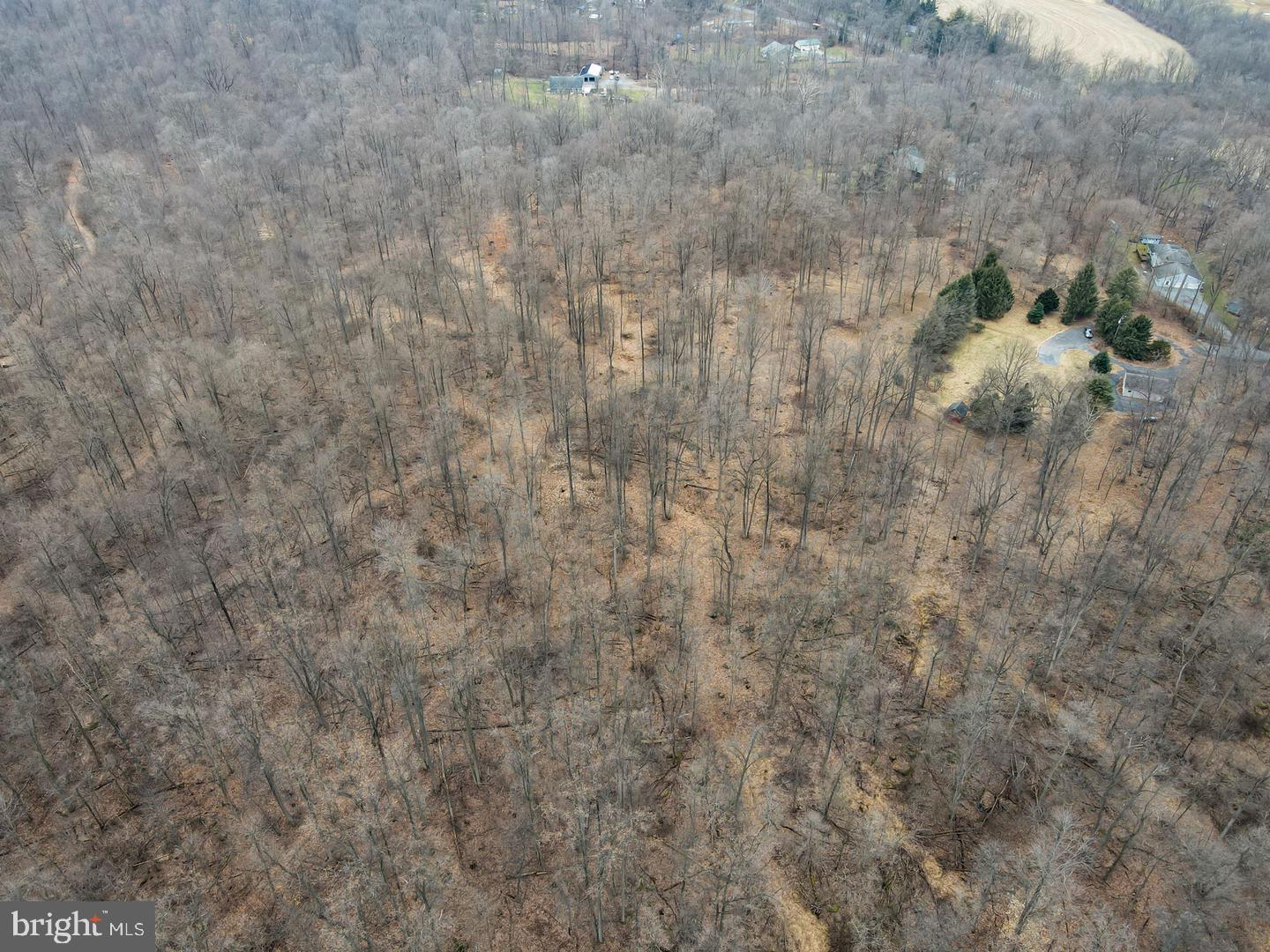 101 WALDHEIM ROAD