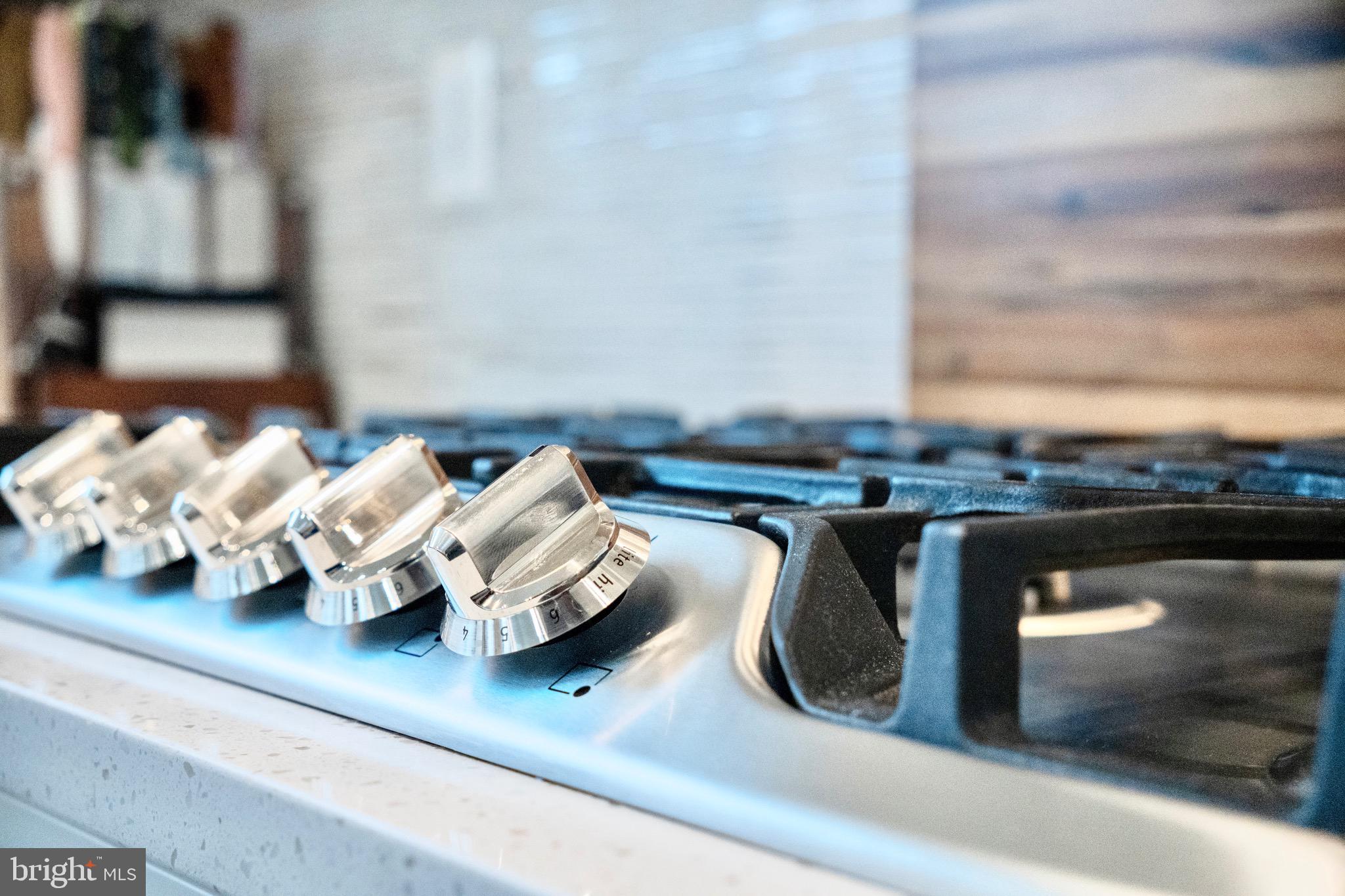 BLUE STREAM - Residential Lease