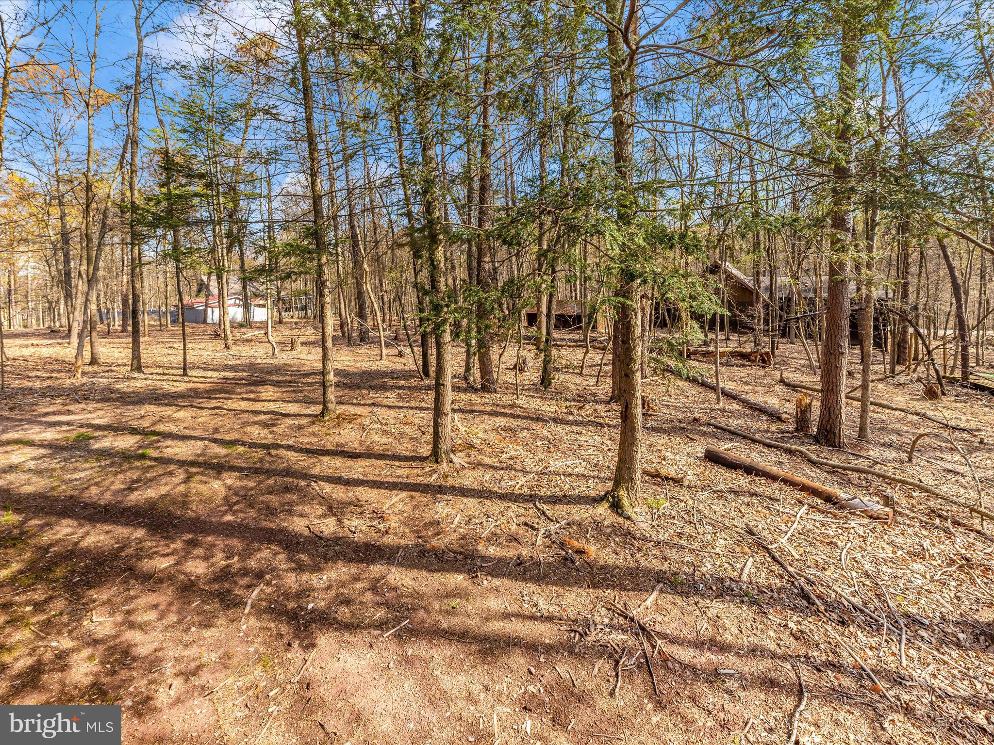 THE WOODS RESORT - Residential