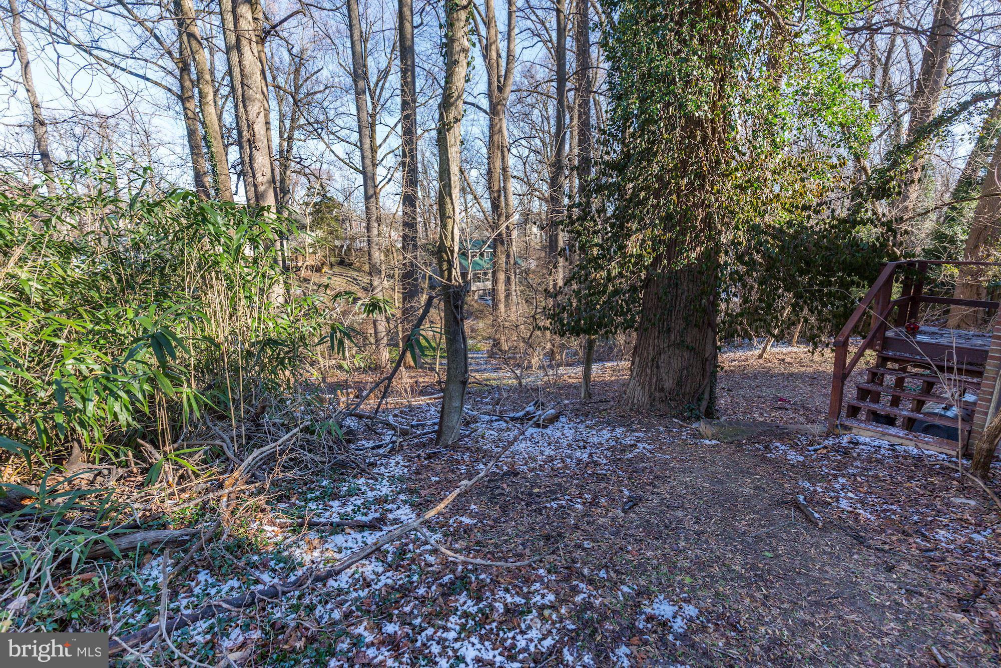 FOREST GLEN PARK - Residential