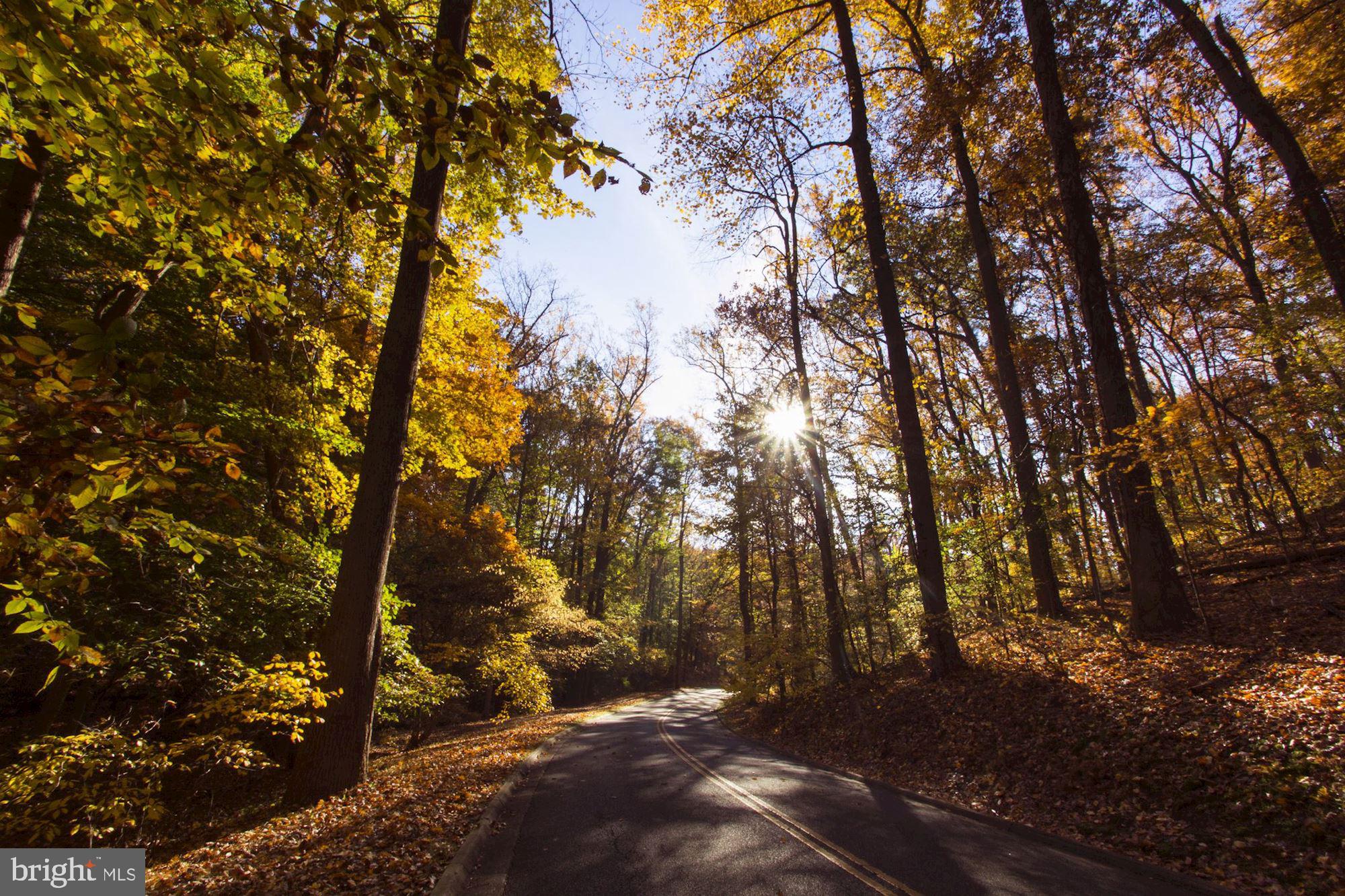 FOREST GLEN PARK - Residential