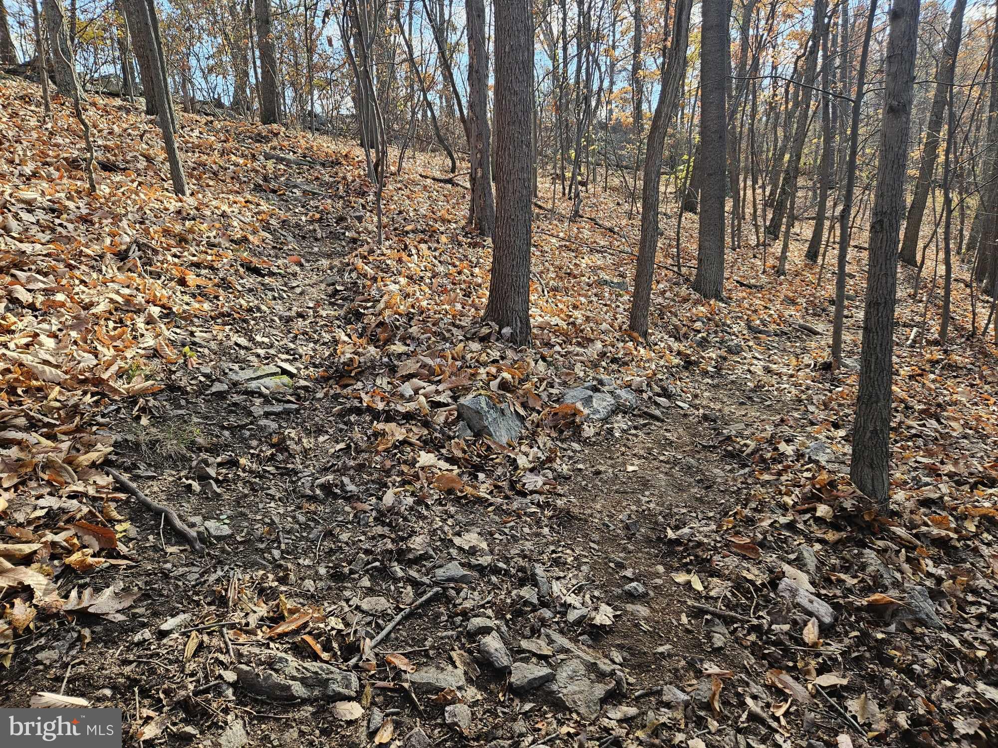 CANNON HILL HEIGHTS - Residential