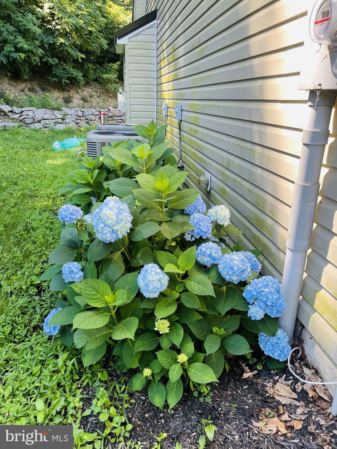 CANNON HILL HEIGHTS - Residential