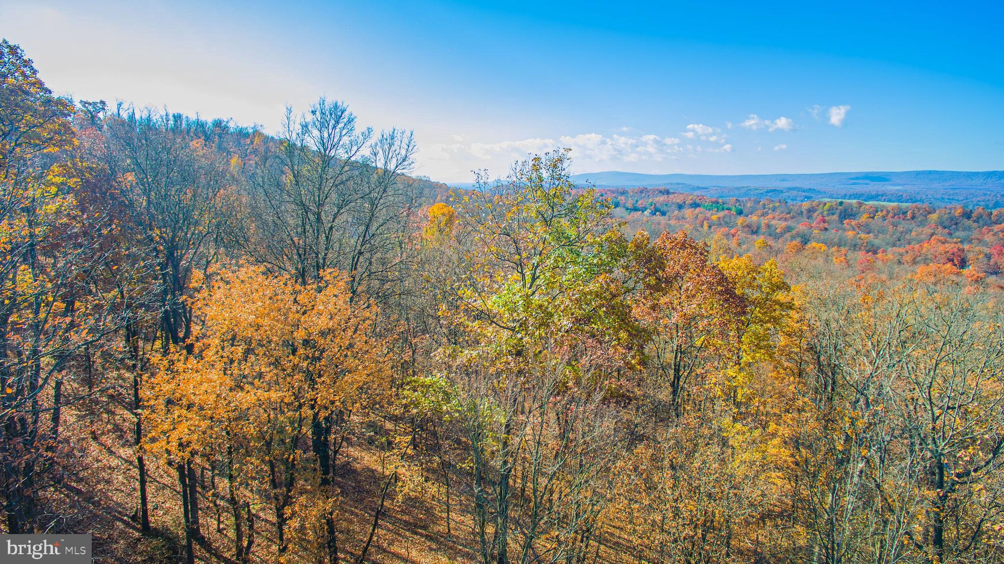CANNON HILL HEIGHTS - Residential