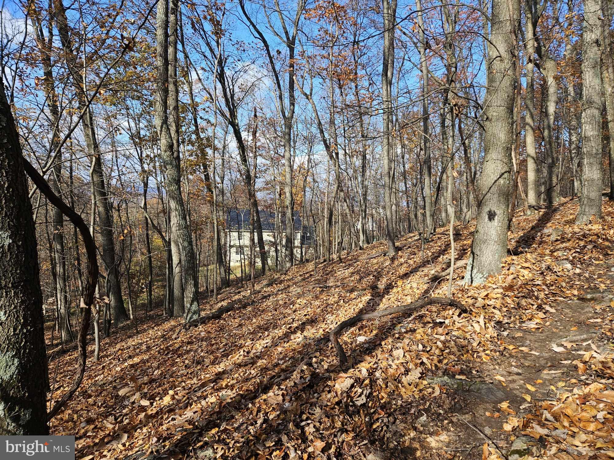 CANNON HILL HEIGHTS - Residential