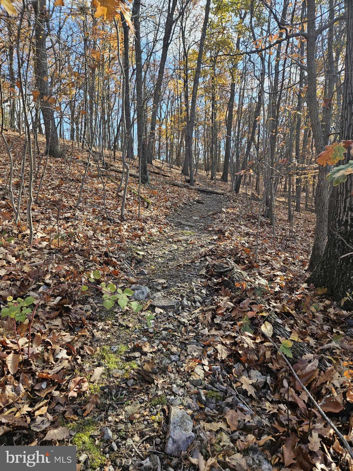 CANNON HILL HEIGHTS - Residential