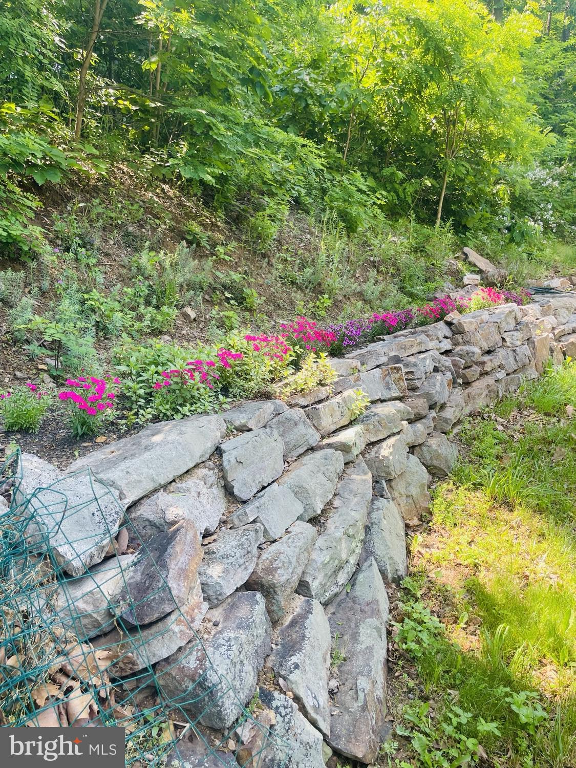 CANNON HILL HEIGHTS - Residential