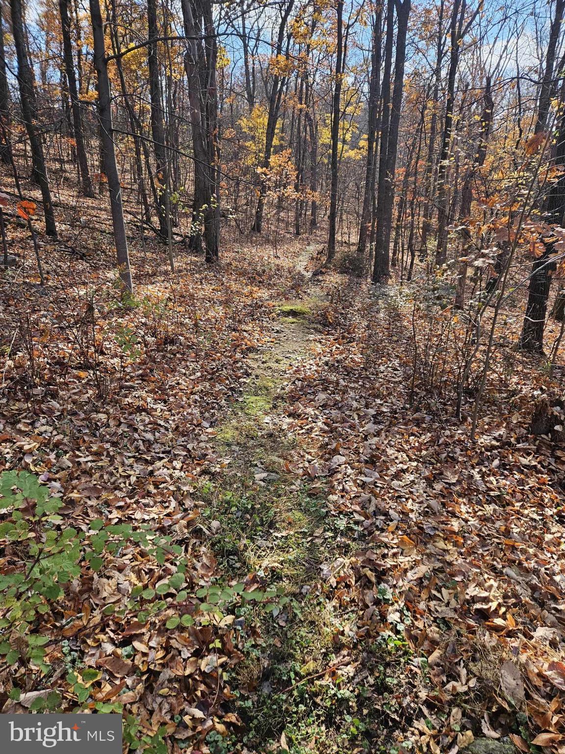 CANNON HILL HEIGHTS - Residential