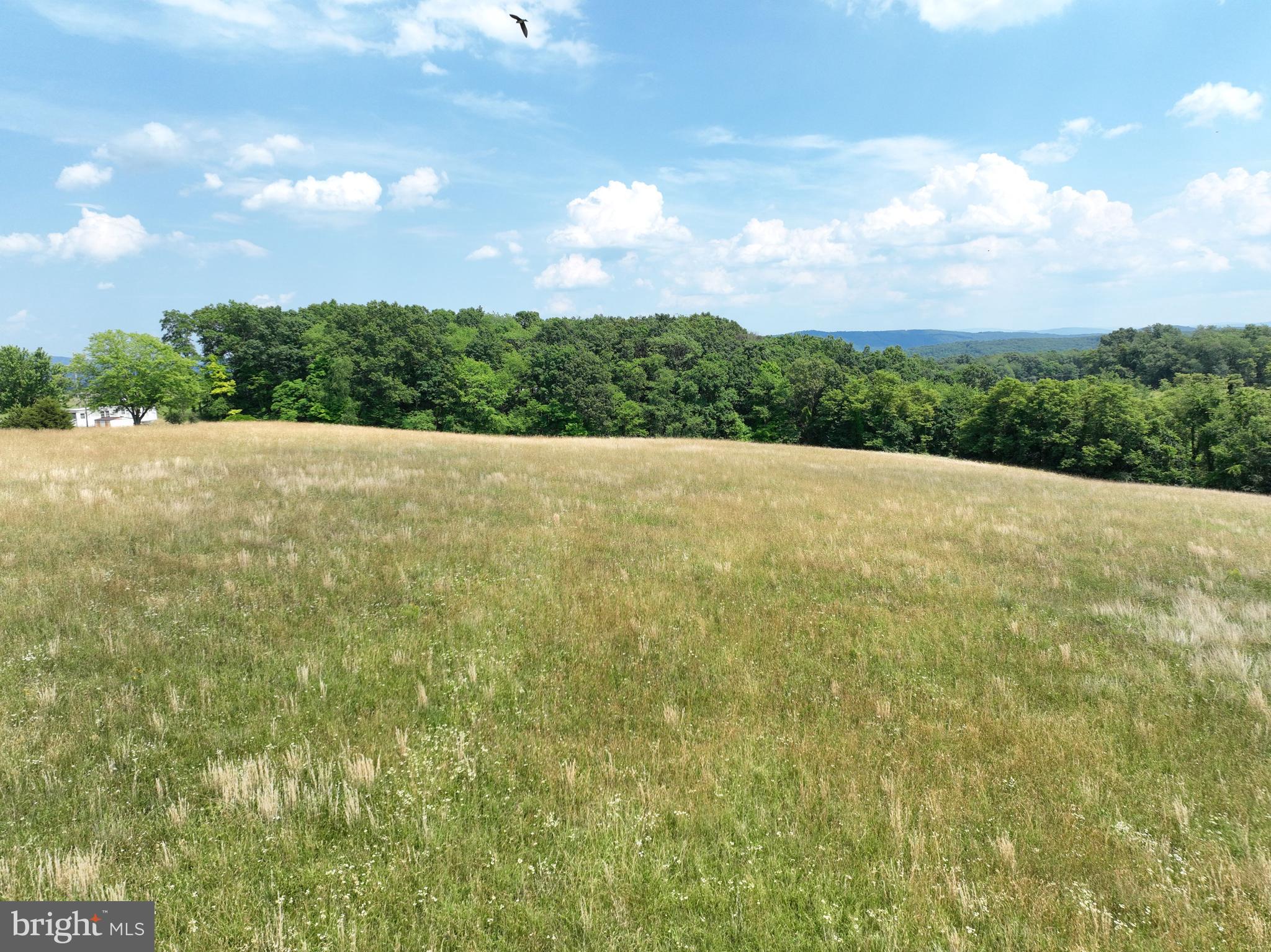 NONE AVAILABLE - Land