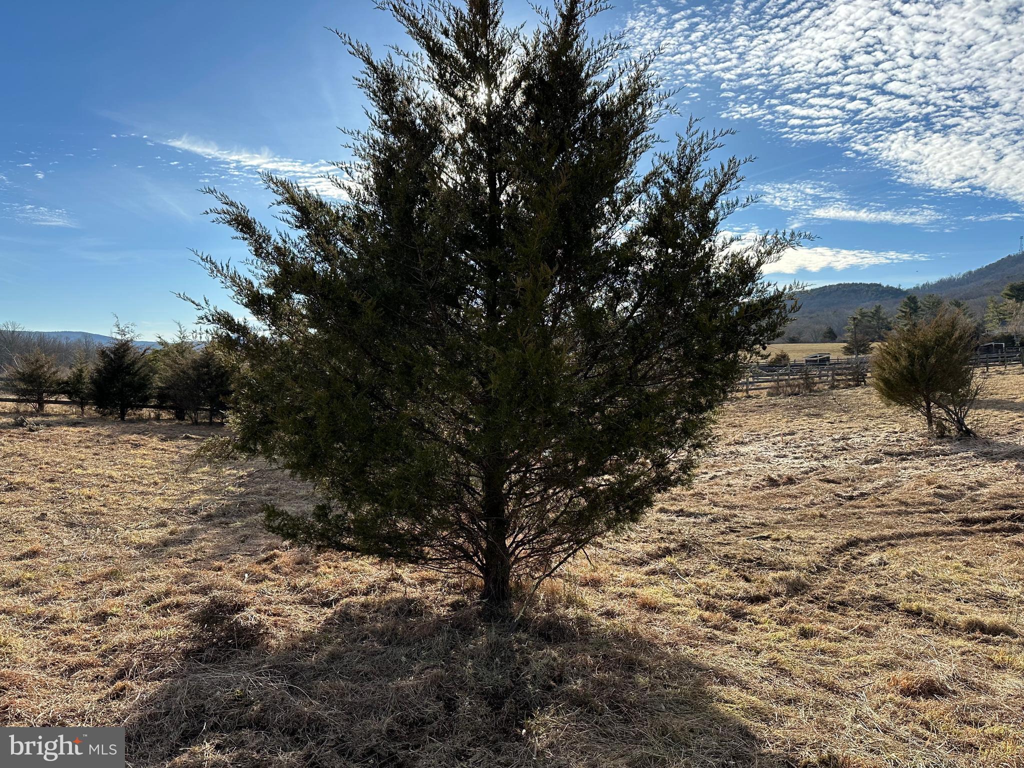 DILLONS RIDGE - Land