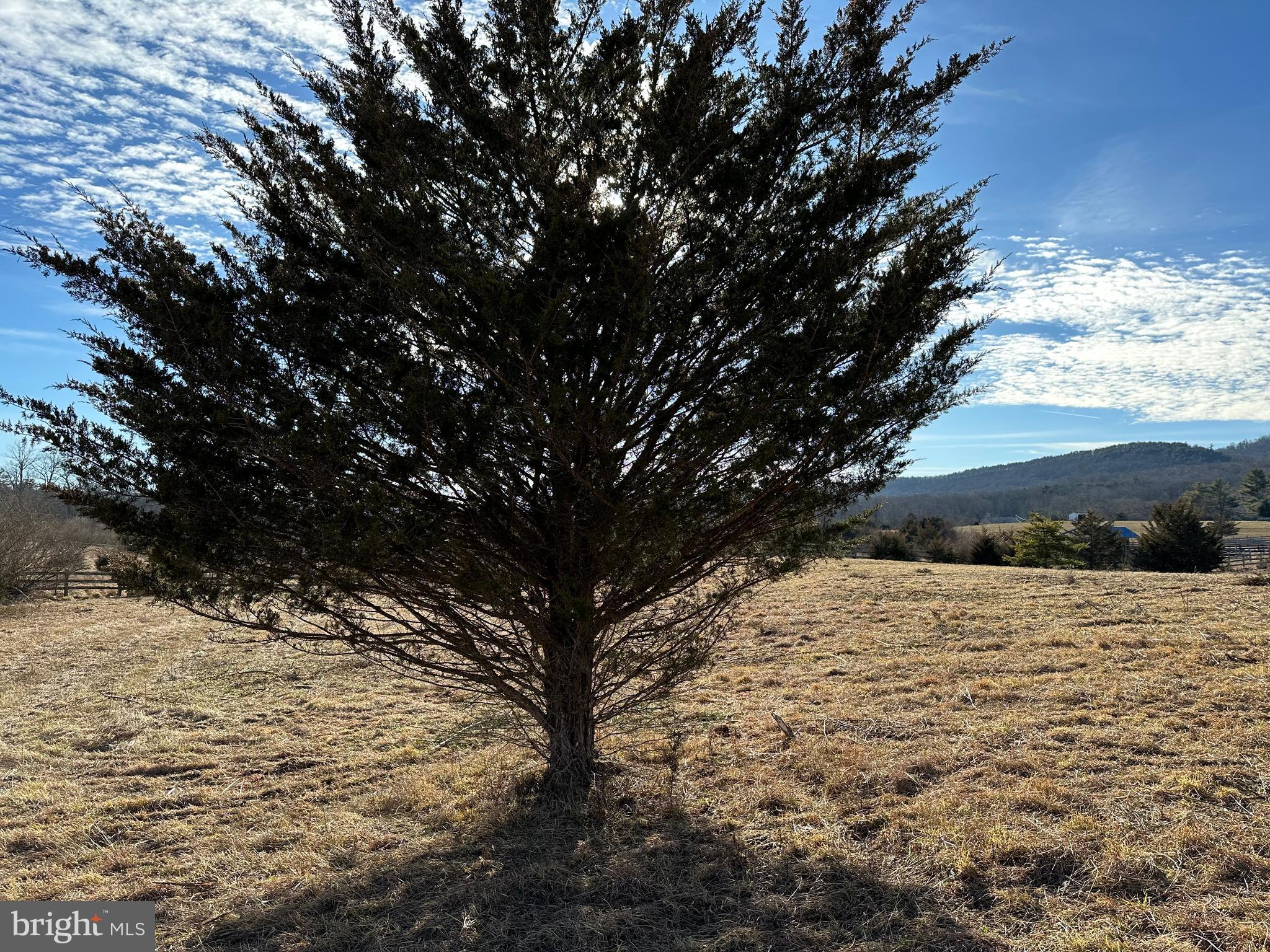 DILLONS RIDGE - Land