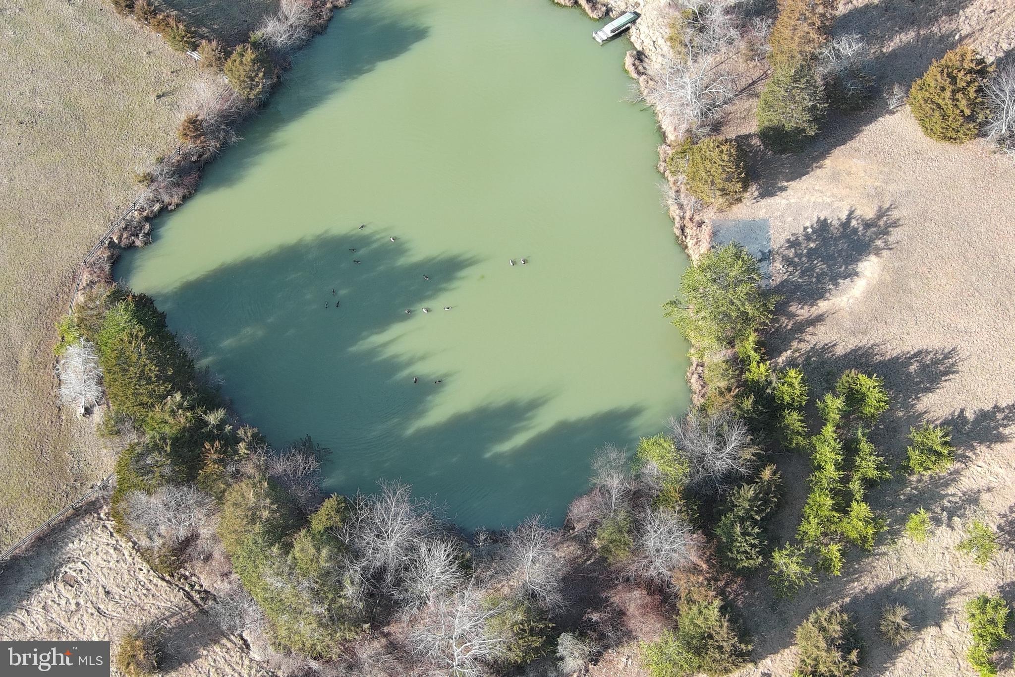 DILLONS RIDGE - Land