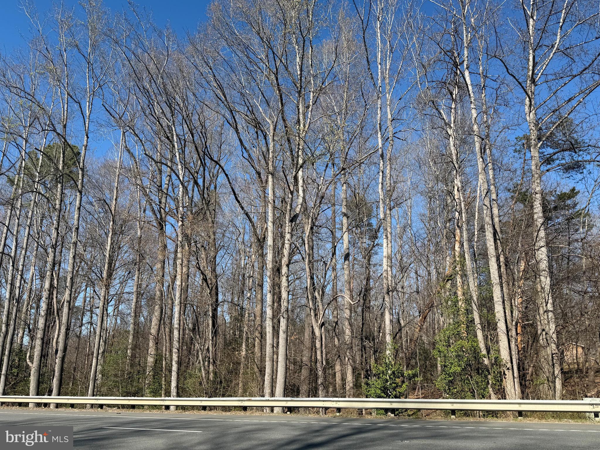 WARRENTON ROAD