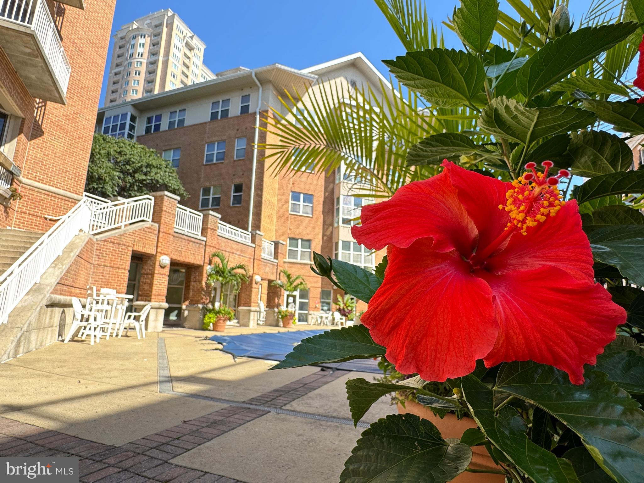 PIERSIDE AT HARBORVIEW - Residential Lease