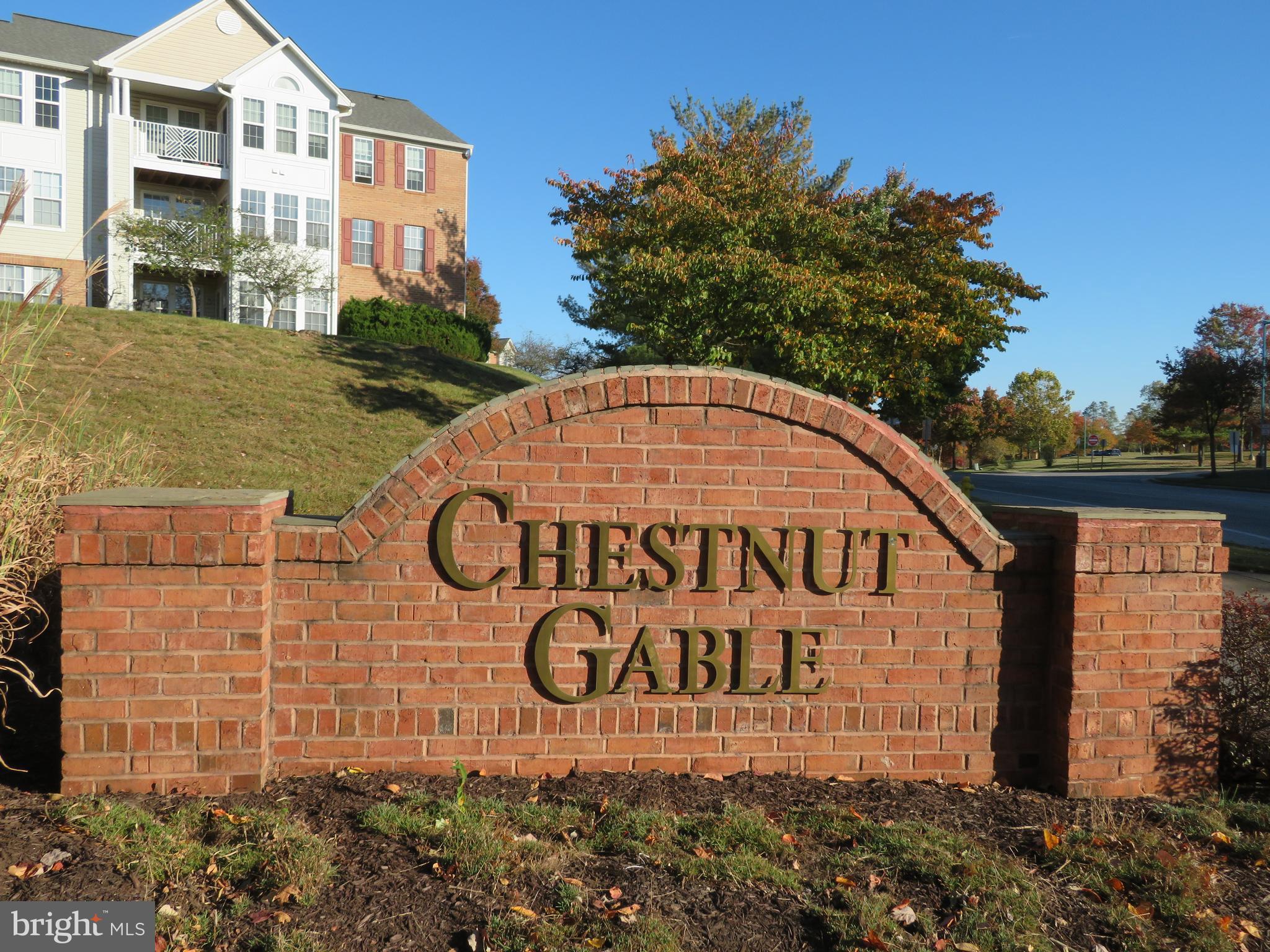 CHESTNUT GABLE - Residential