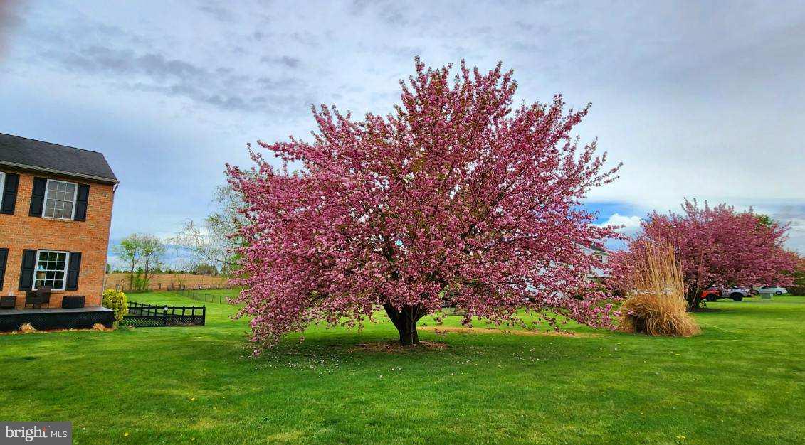 SCENIC VIEW ESTATES - Residential