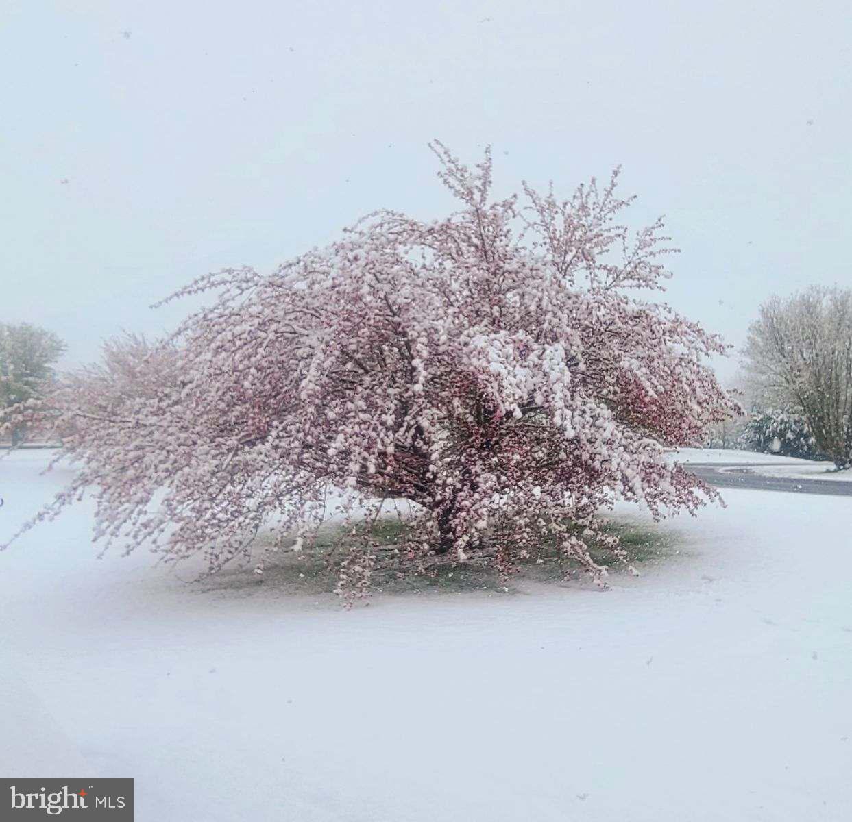 SCENIC VIEW ESTATES - Residential