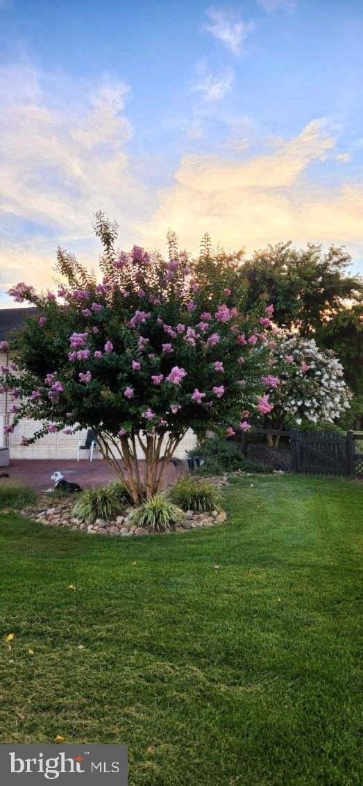 SCENIC VIEW ESTATES - Residential