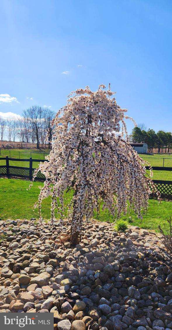 SCENIC VIEW ESTATES - Residential