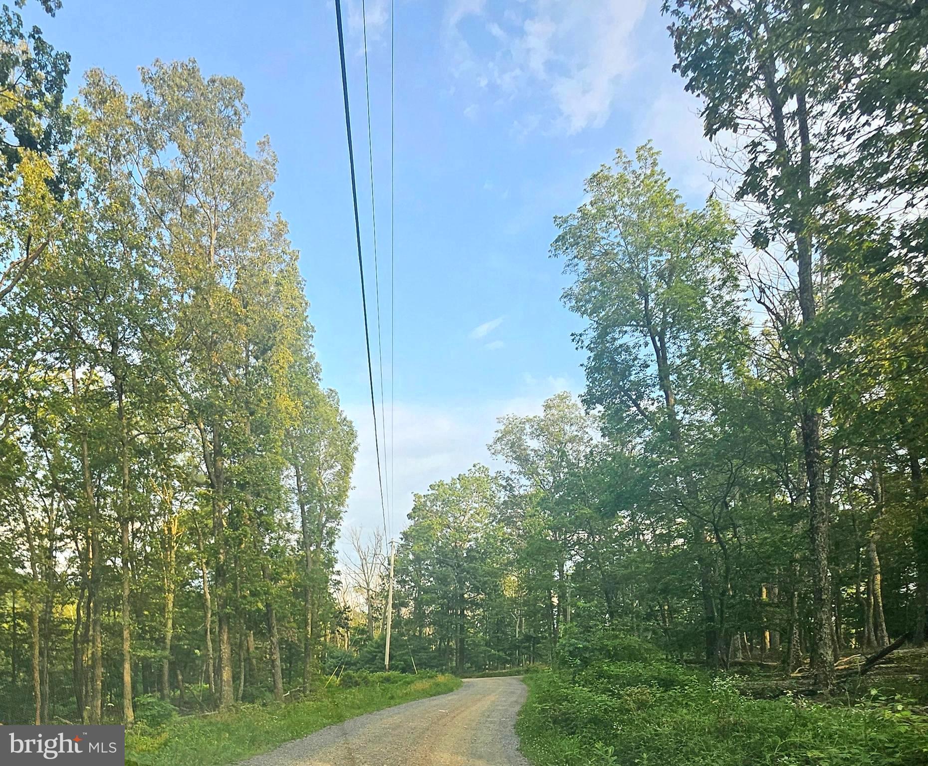 STAGECOACH STOP @ CAPON BRIDGE - Residential