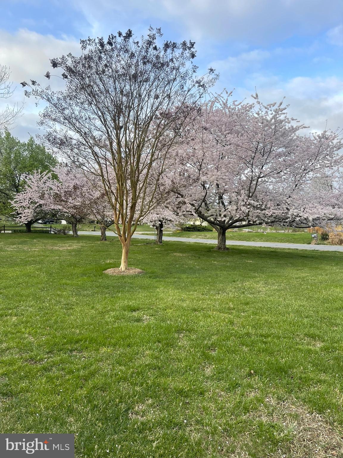 205 CEDAR BEACH DRIVE