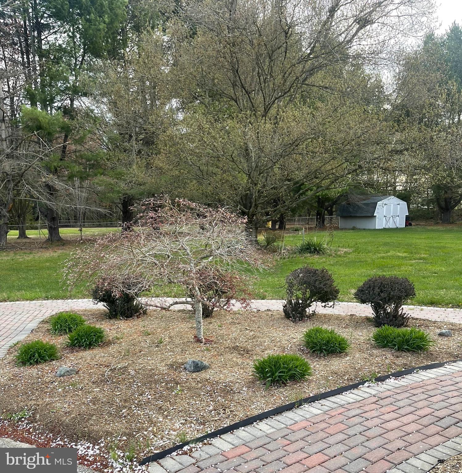 CEDAR BEACH - Residential Lease