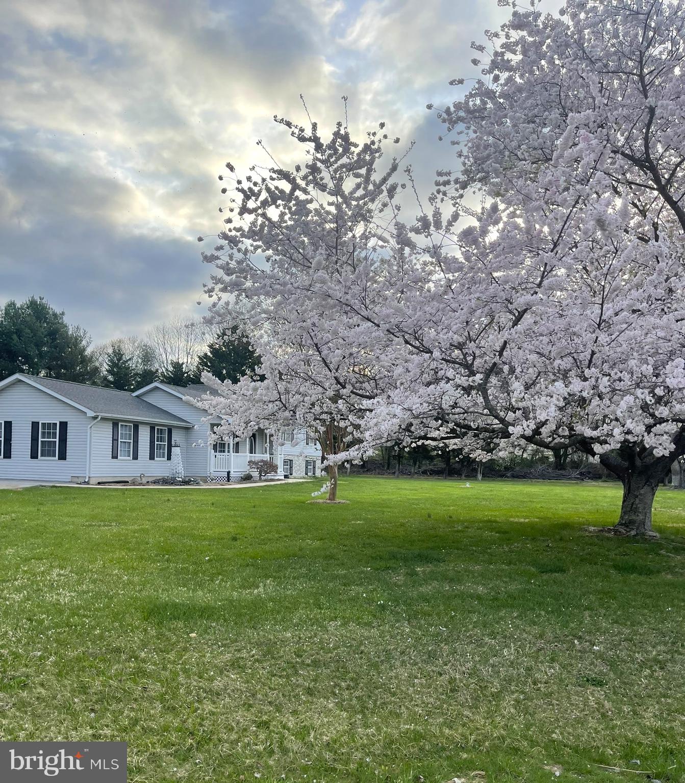 CEDAR BEACH - Residential Lease