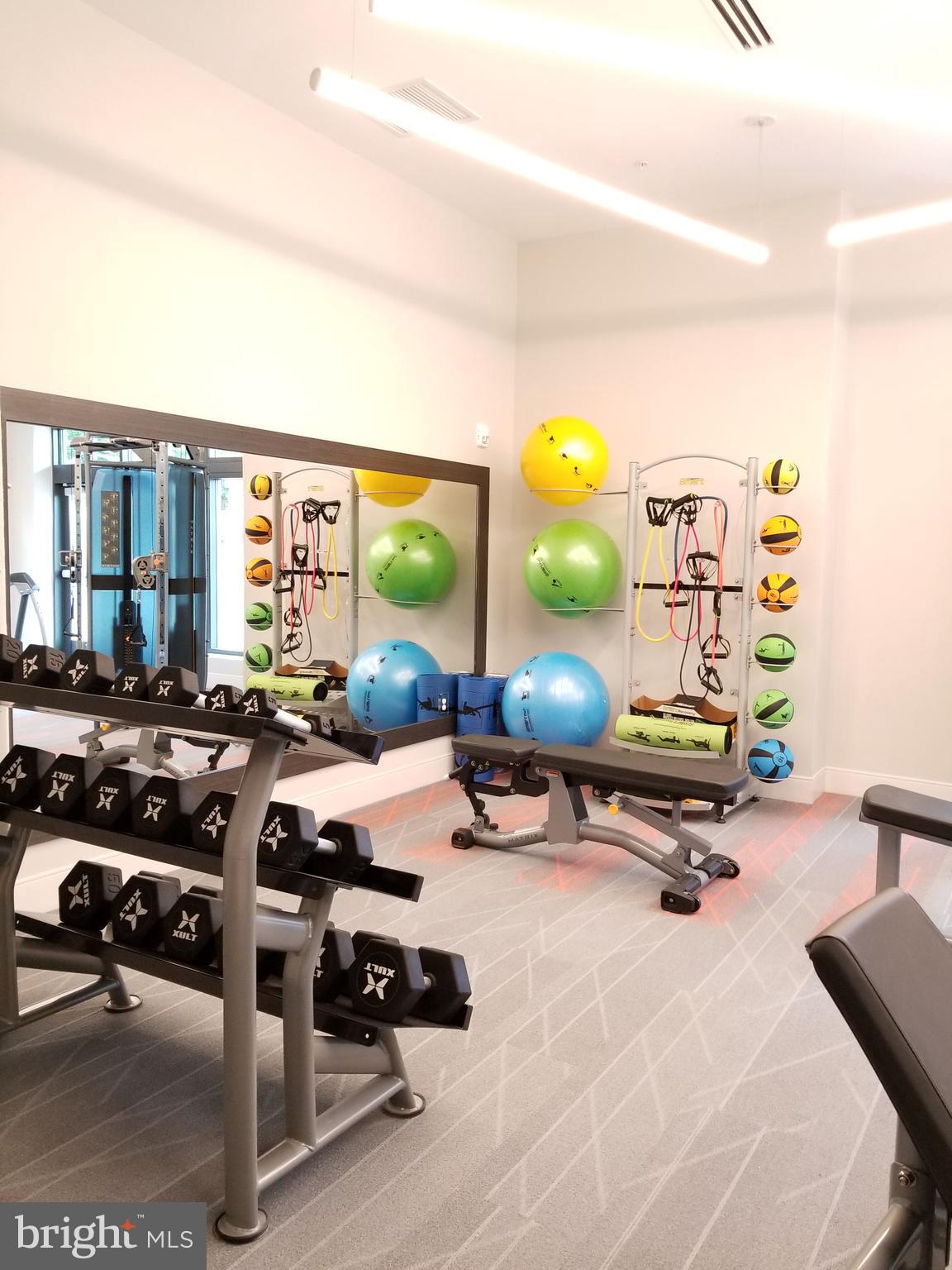 TRAFALGAR FLATS - Residential Lease