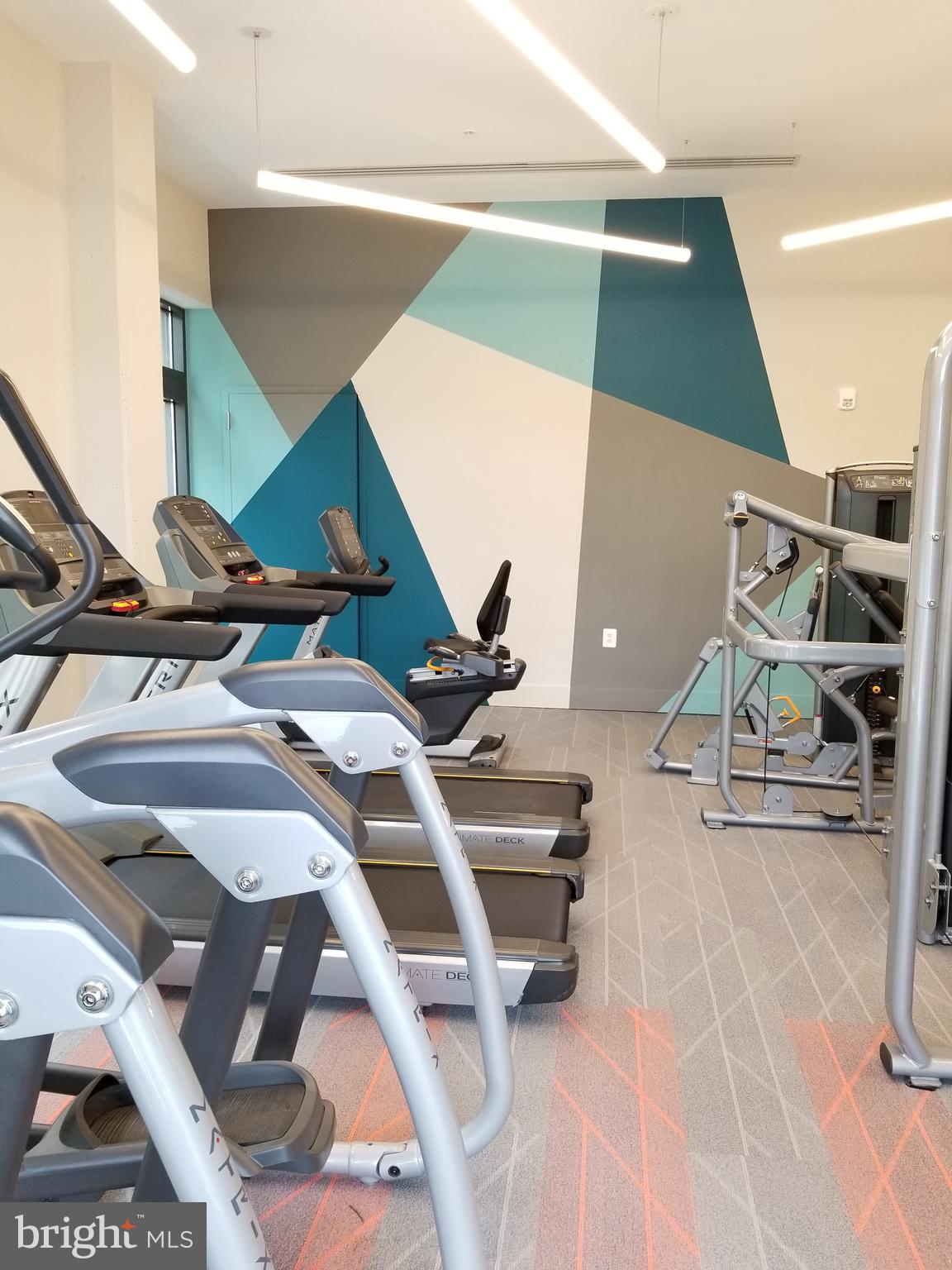 TRAFALGAR FLATS - Residential Lease