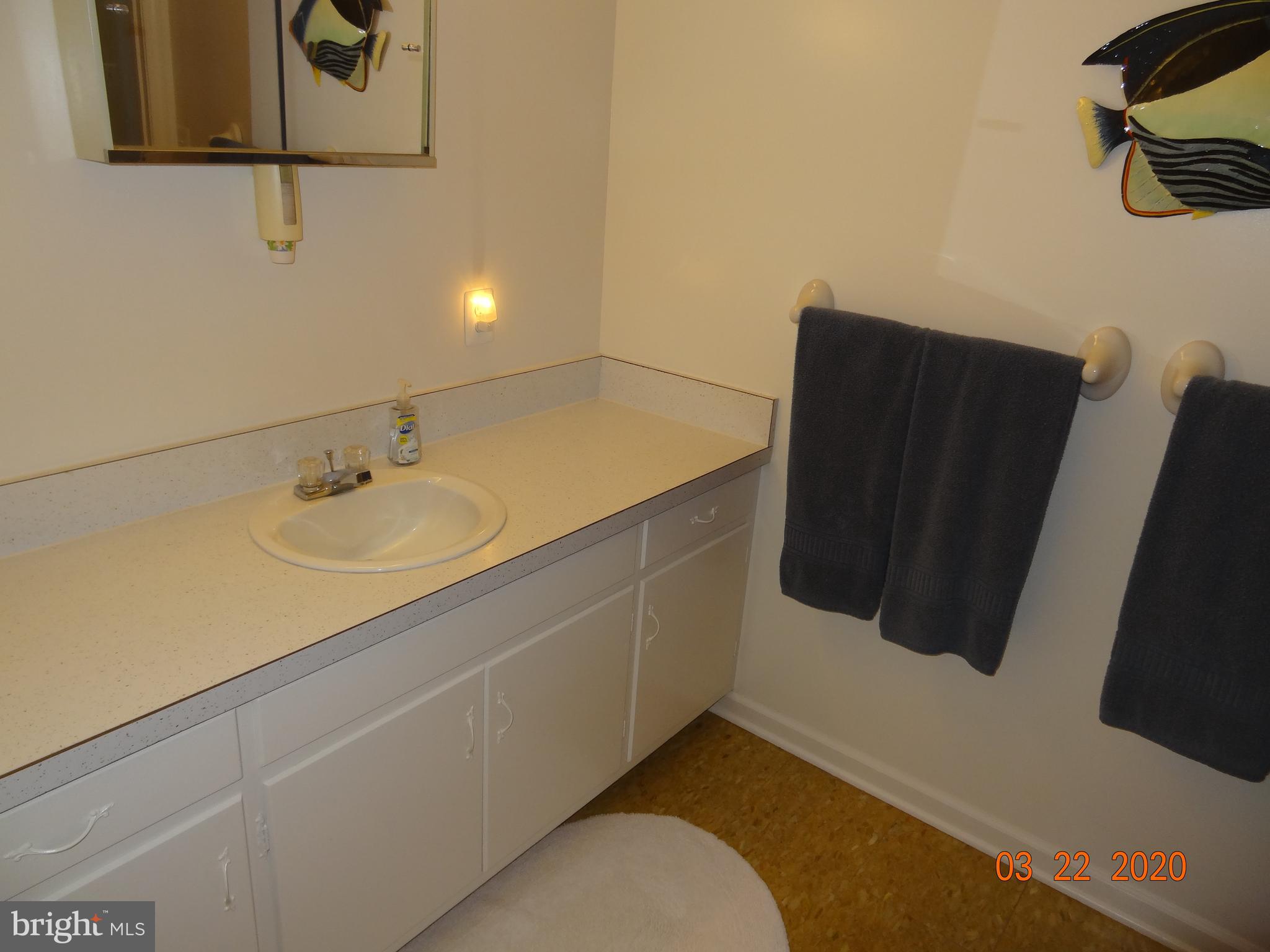 BLUE RIDGE SHORES - Residential