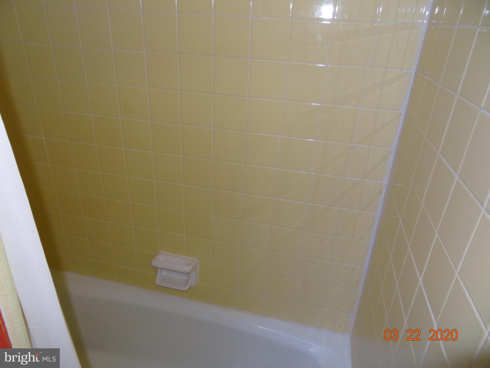 BLUE RIDGE SHORES - Residential