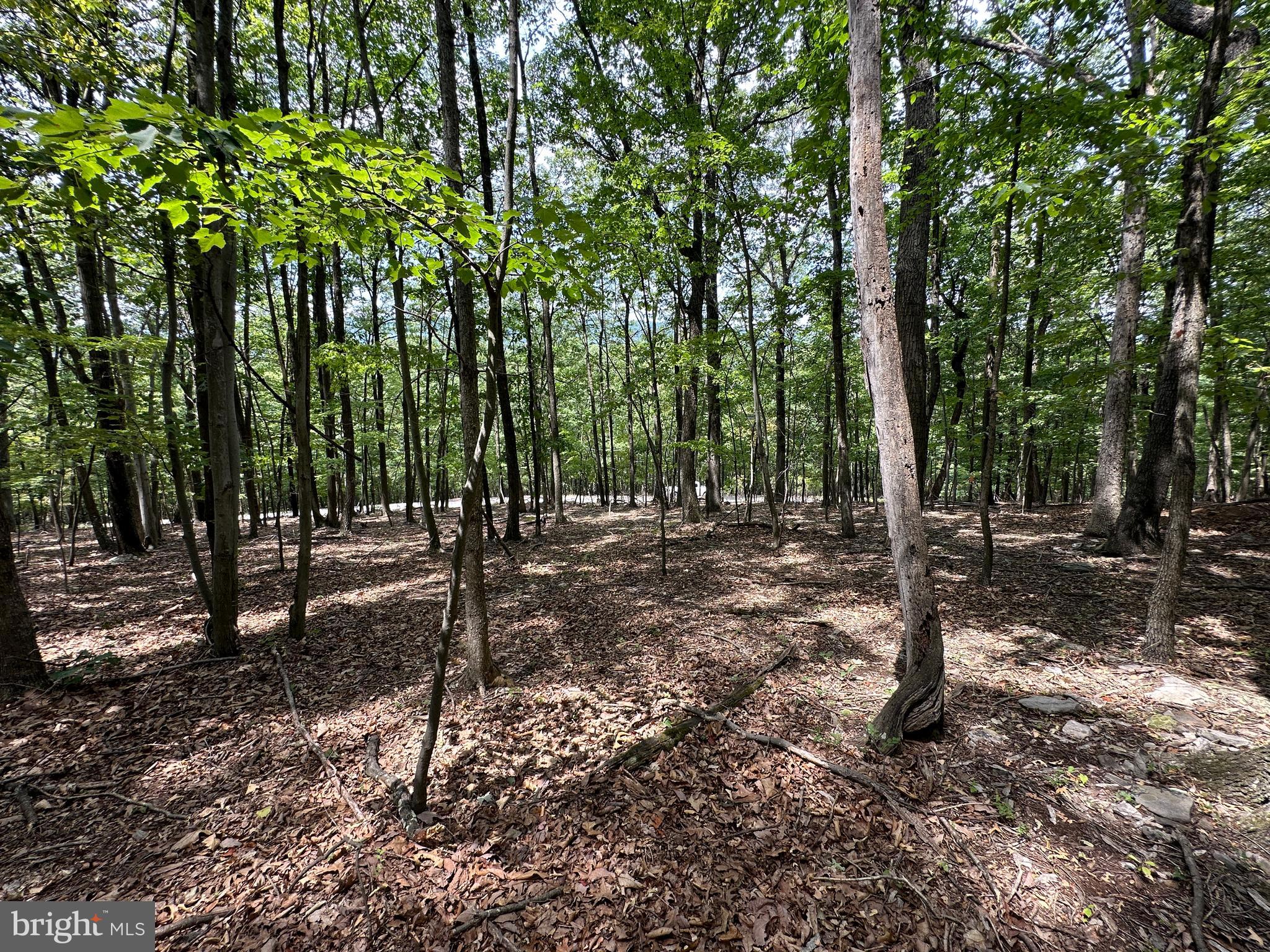 EAGLE MOUNTAIN - Land