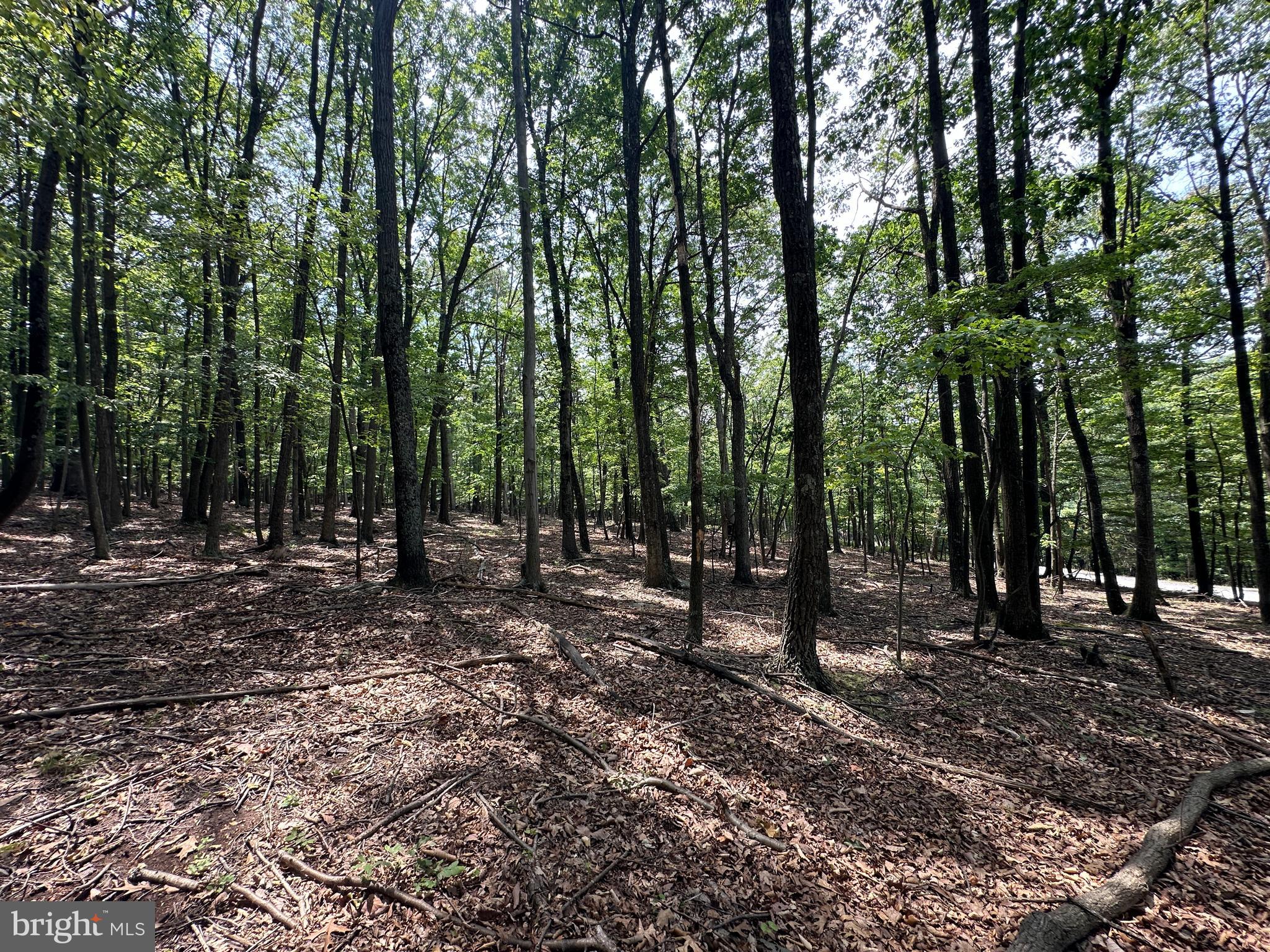 EAGLE MOUNTAIN - Land