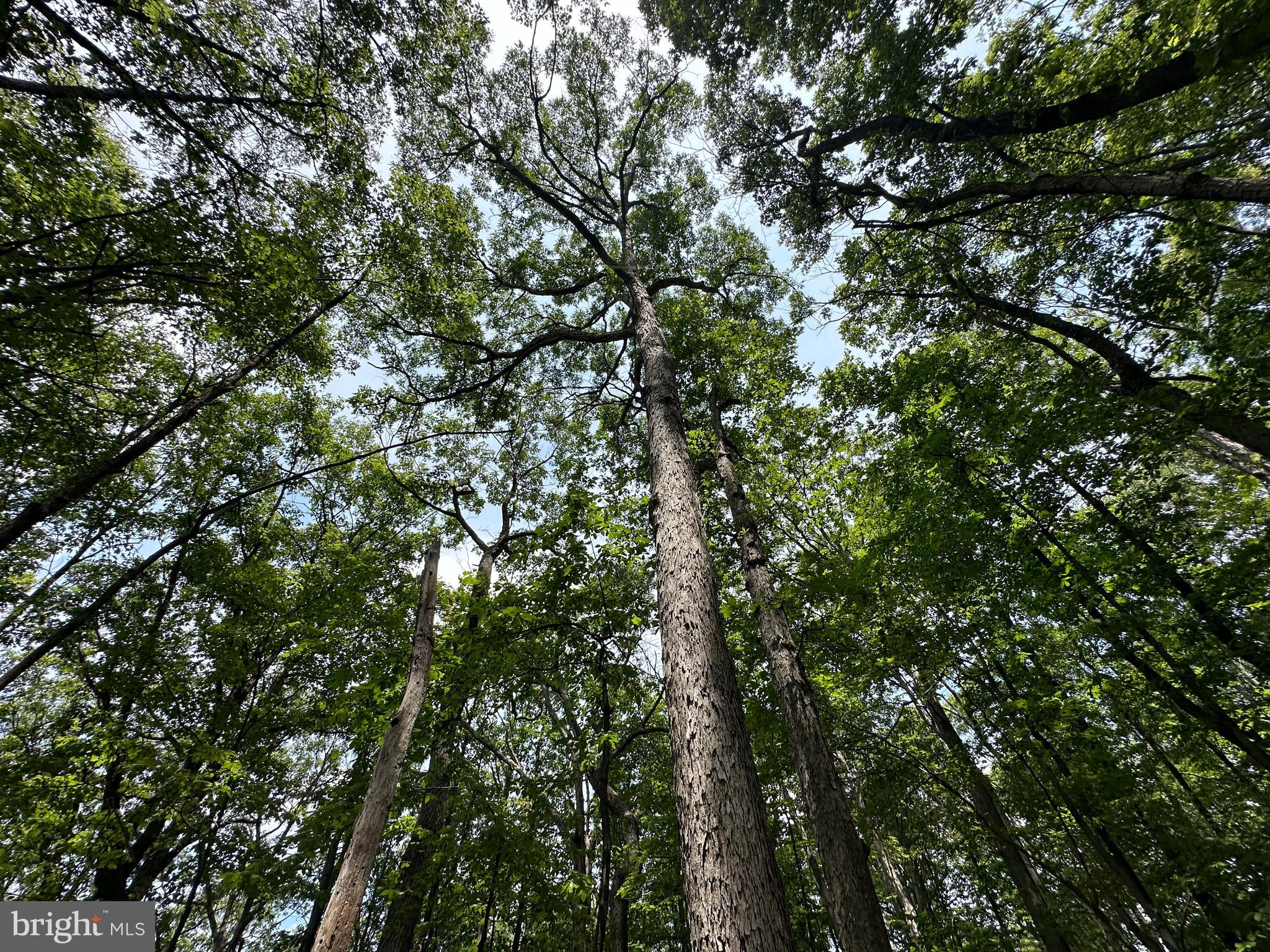 EAGLE MOUNTAIN - Land