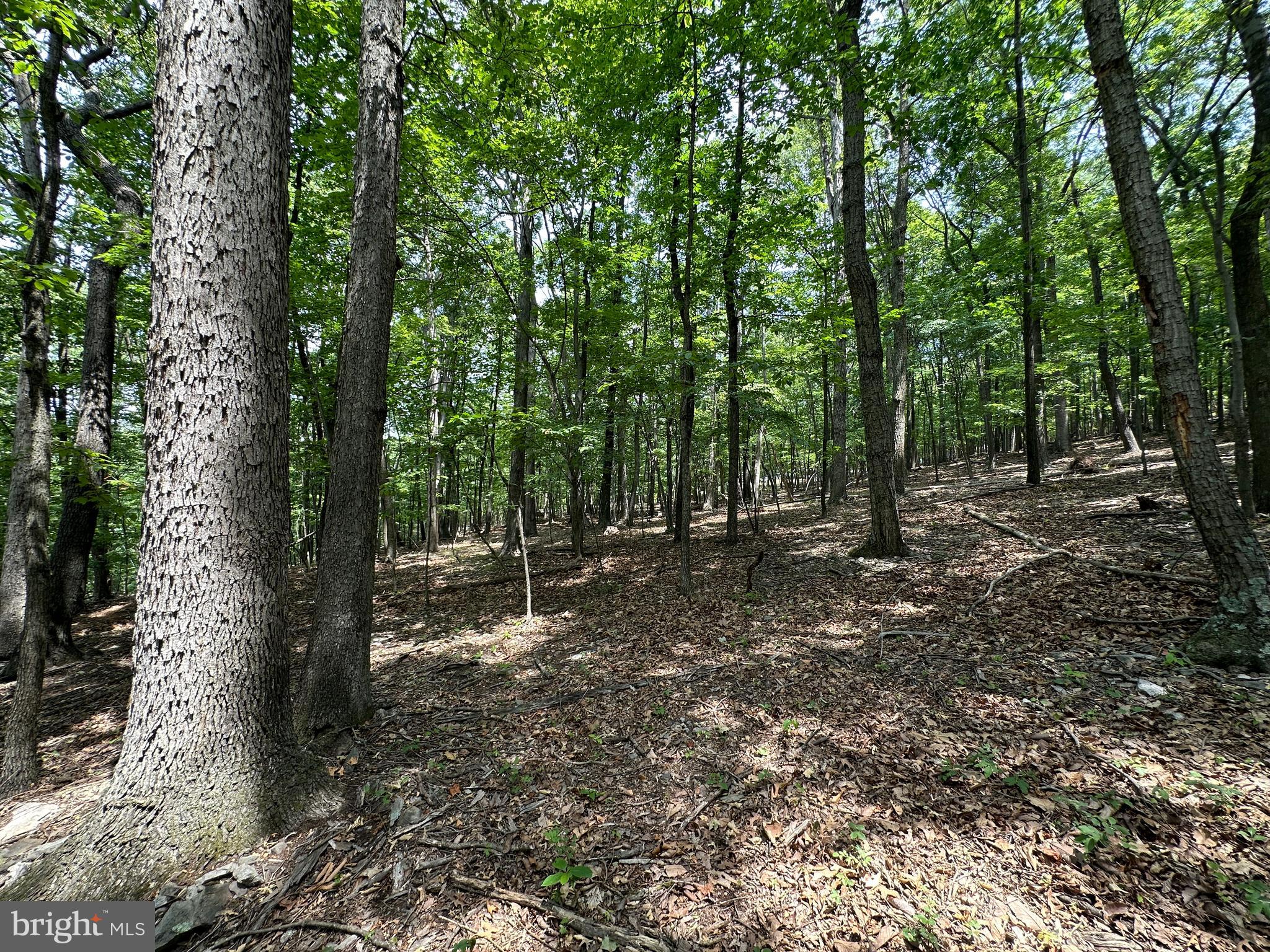 EAGLE MOUNTAIN - Land