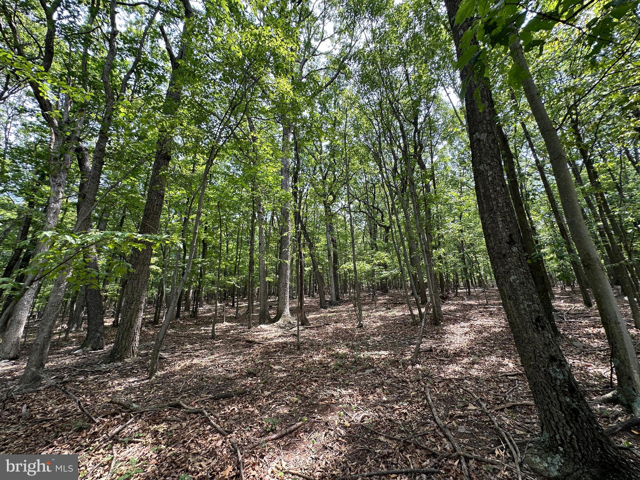 EAGLE MOUNTAIN - Land